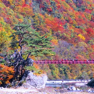 紅葉の抱返り渓谷